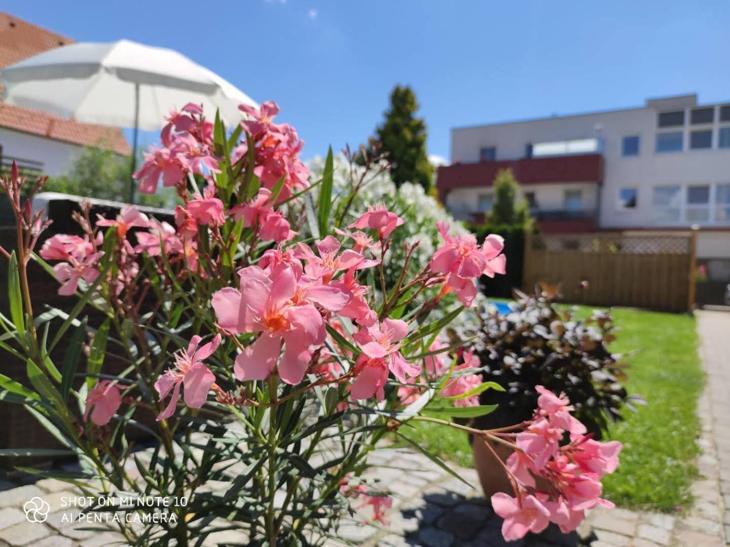 Appartement Ferienhaus Sonnenhain Sollenau Bagian luar foto